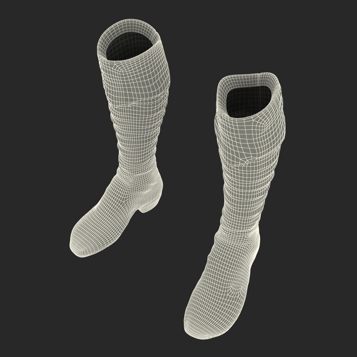 3D model Knee High Boots