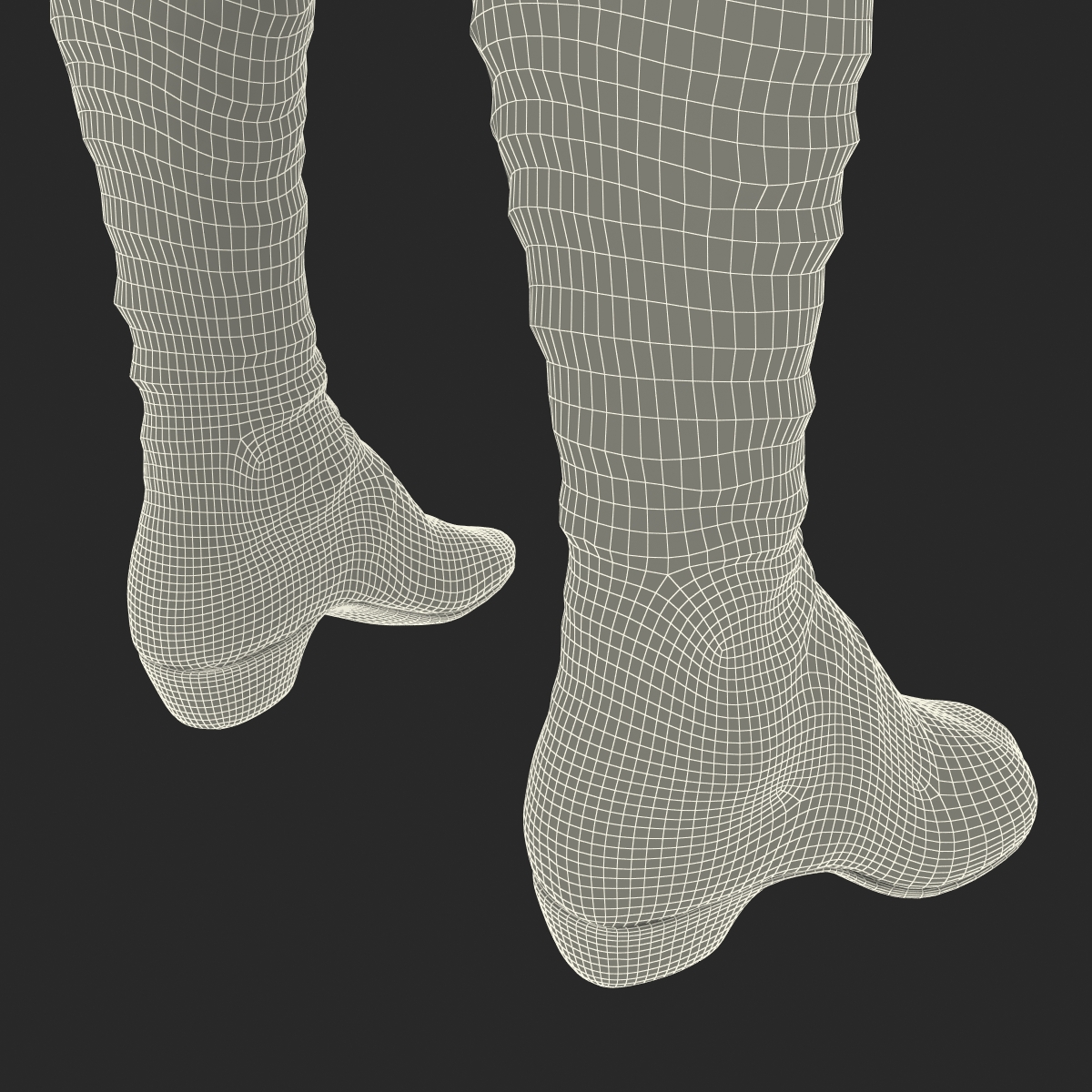 3D model Knee High Boots