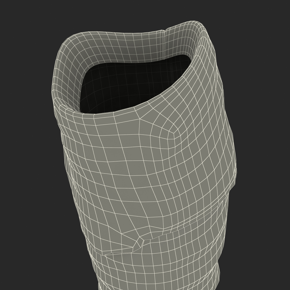 3D model Knee High Boots