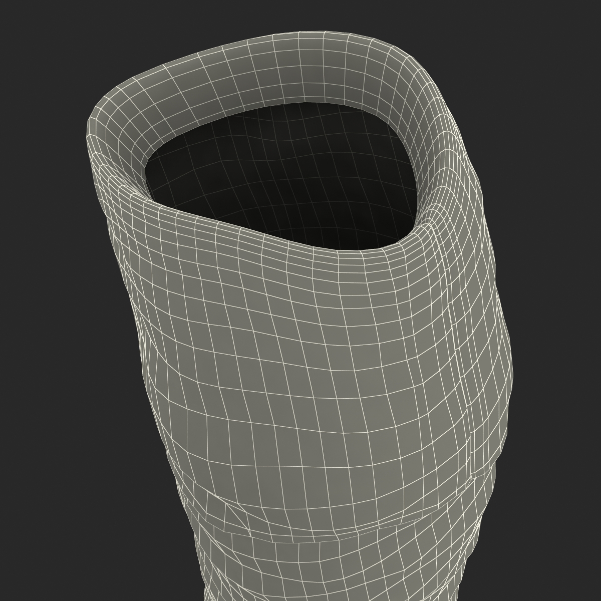 3D model Knee High Boots