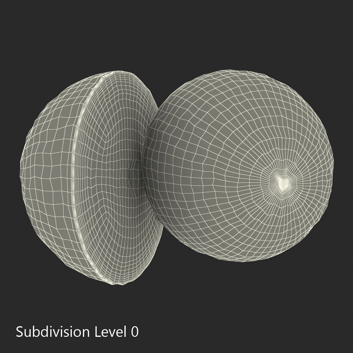 Grapefruit Cross Section 3D model