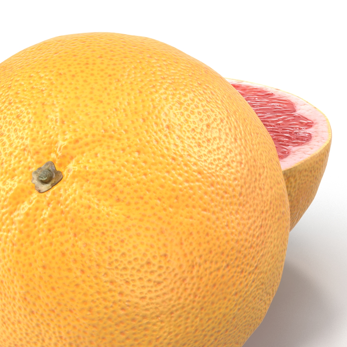 Grapefruit Cross Section 3D model