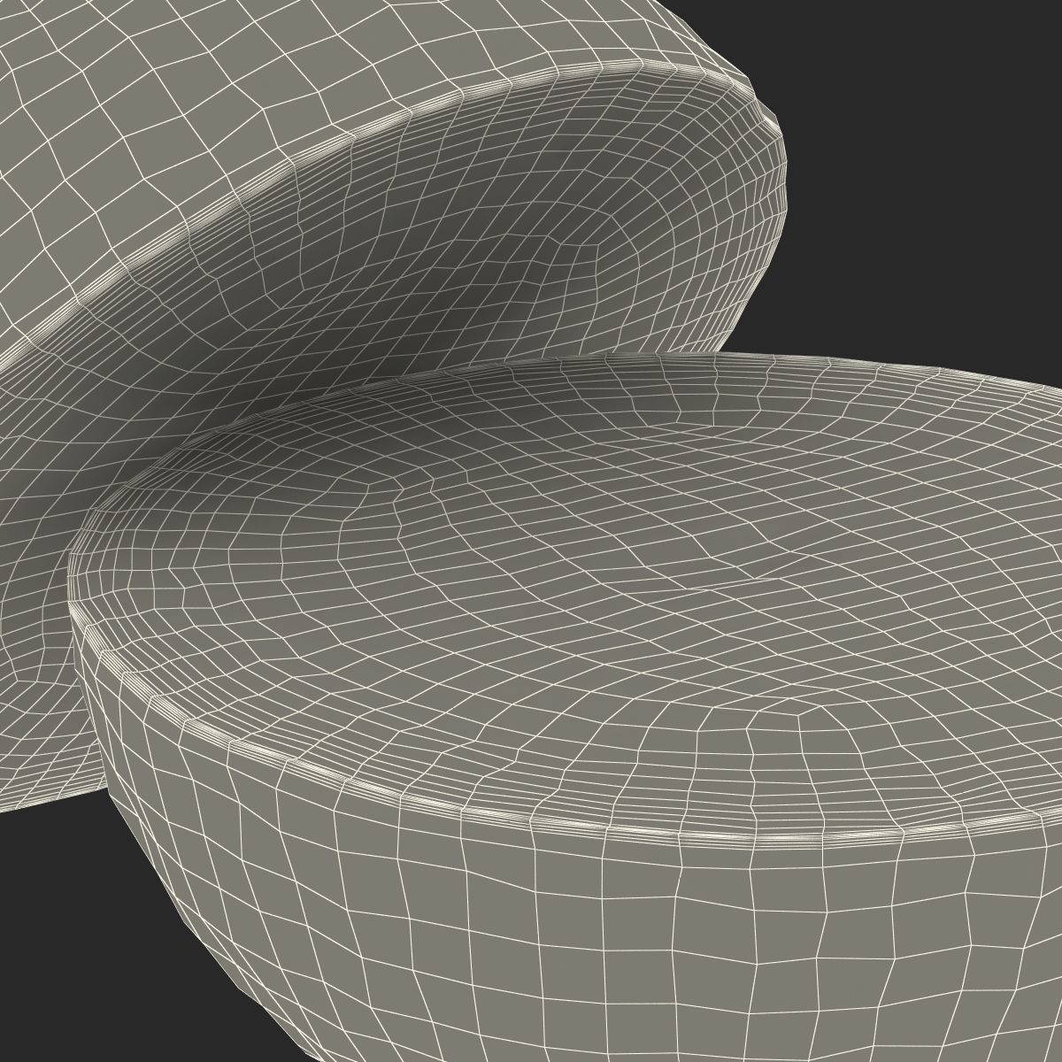 Grapefruit Cross Section 3D model