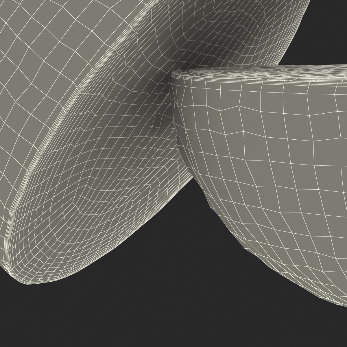 Grapefruit Cross Section 3D model