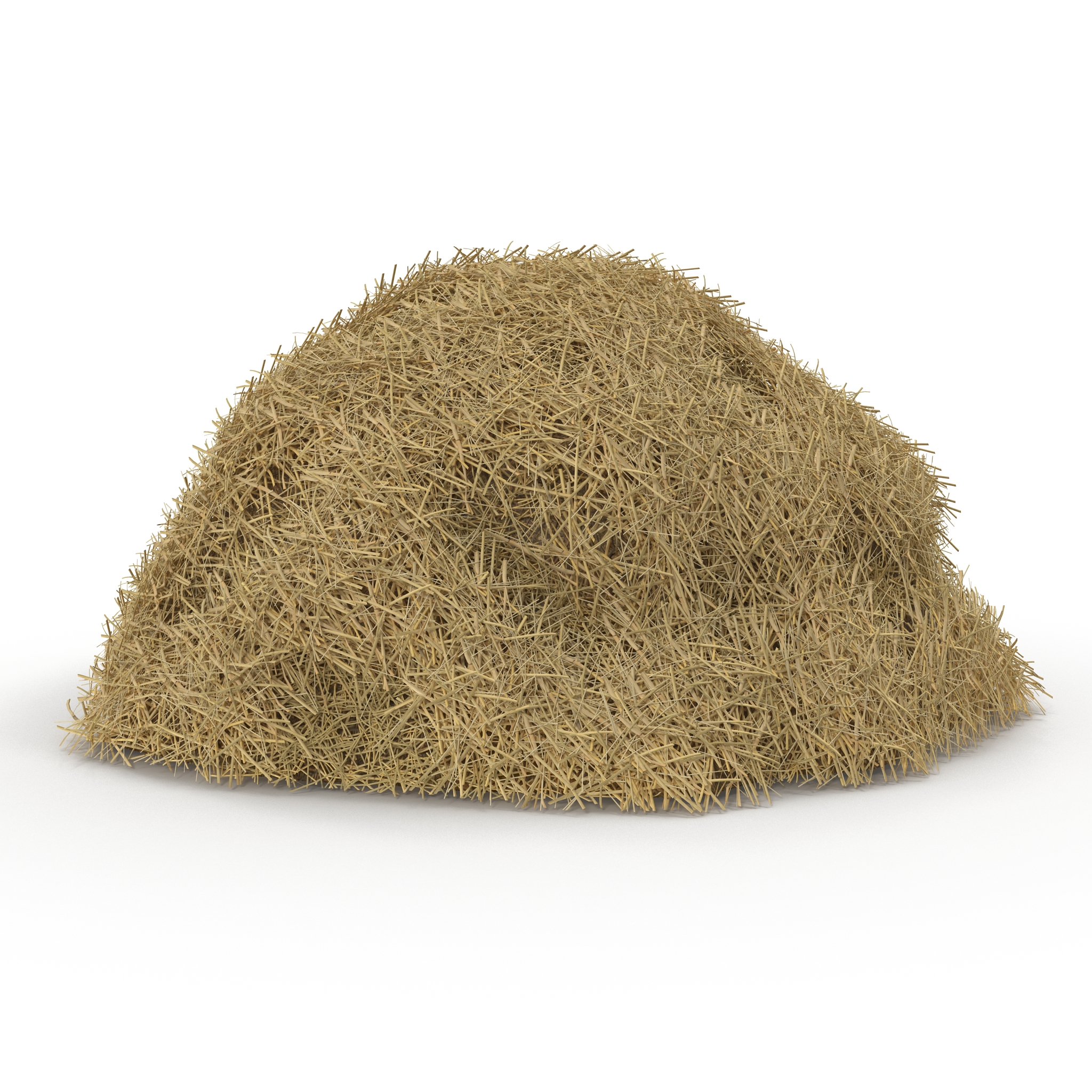 3D model Hay Pile