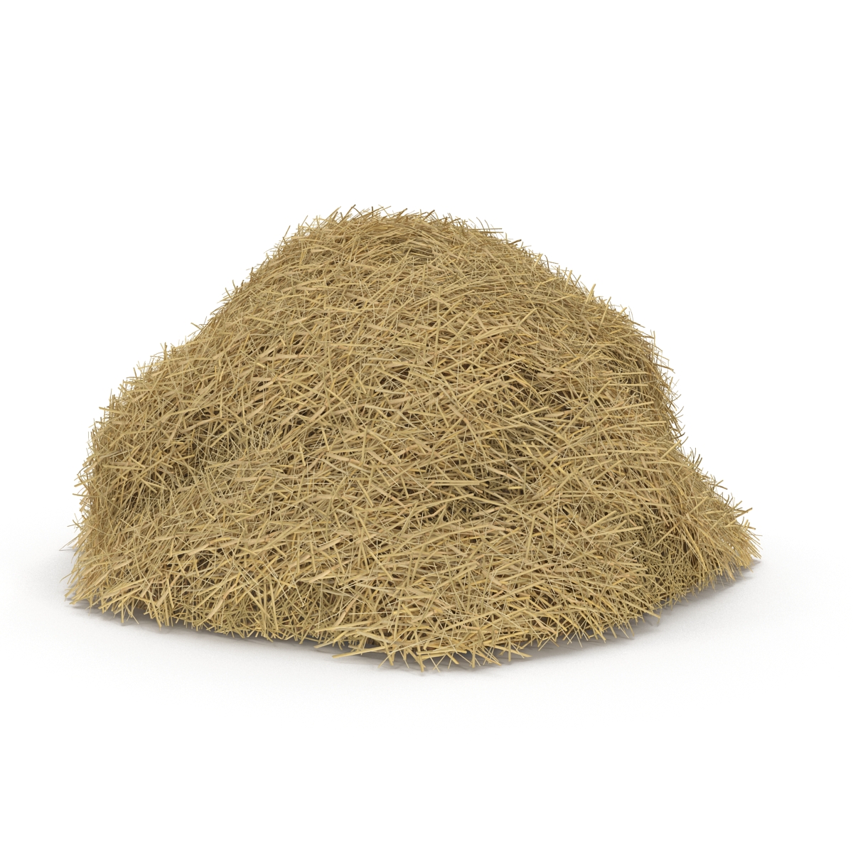 3D model Hay Pile