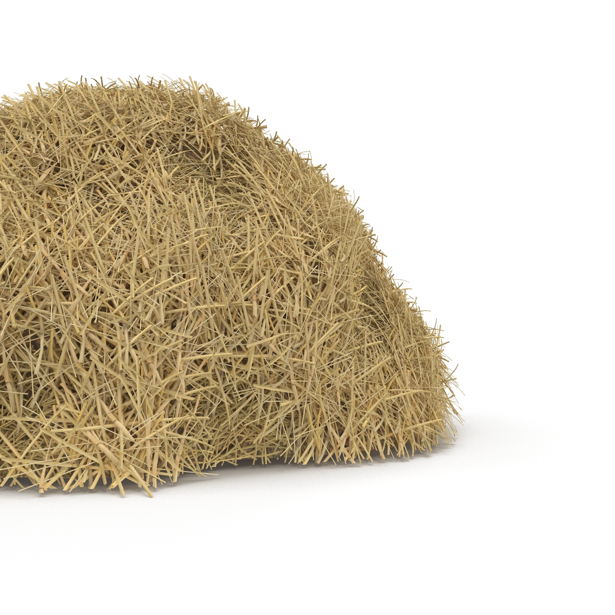 3D model Hay Pile