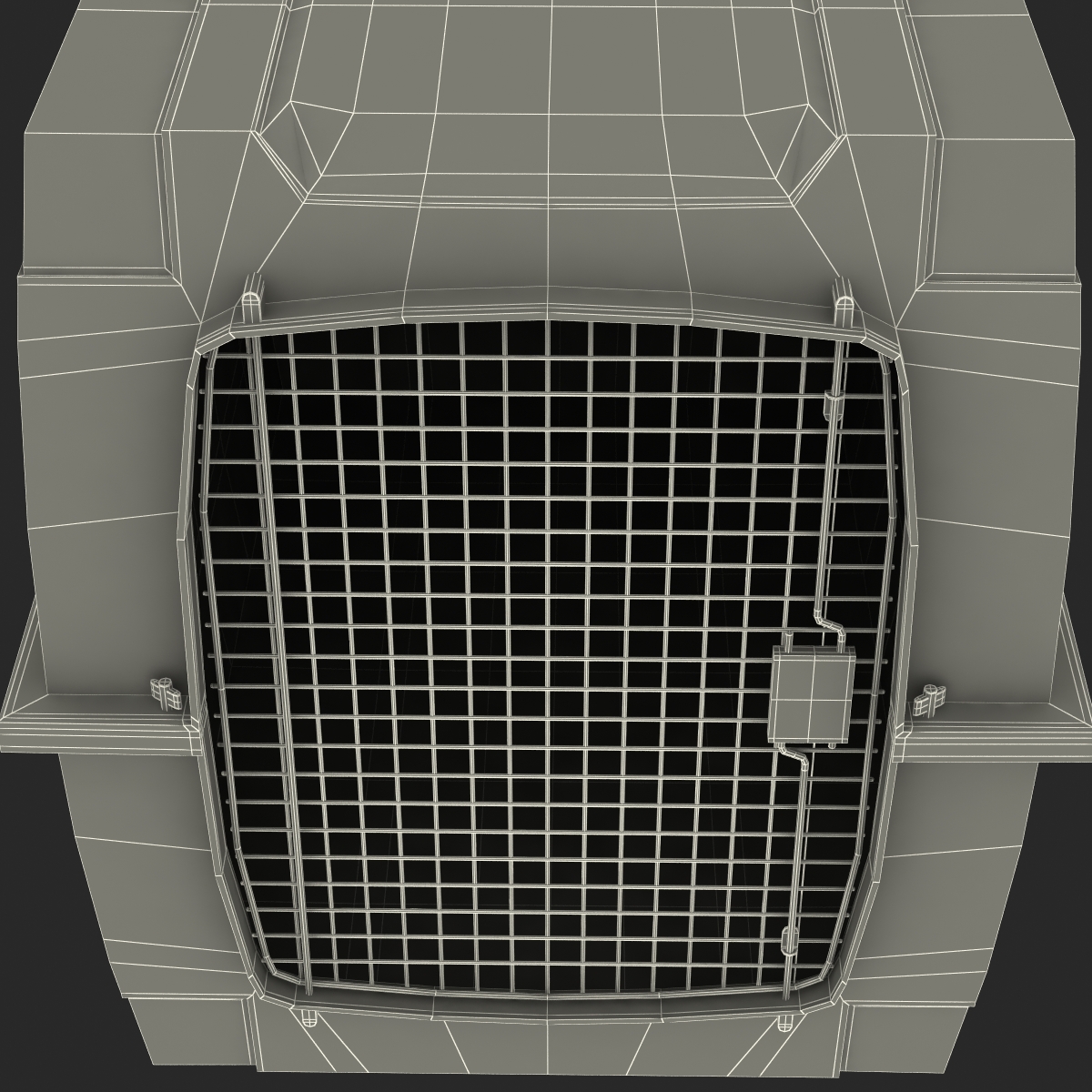 Large Pet Carrier 3D