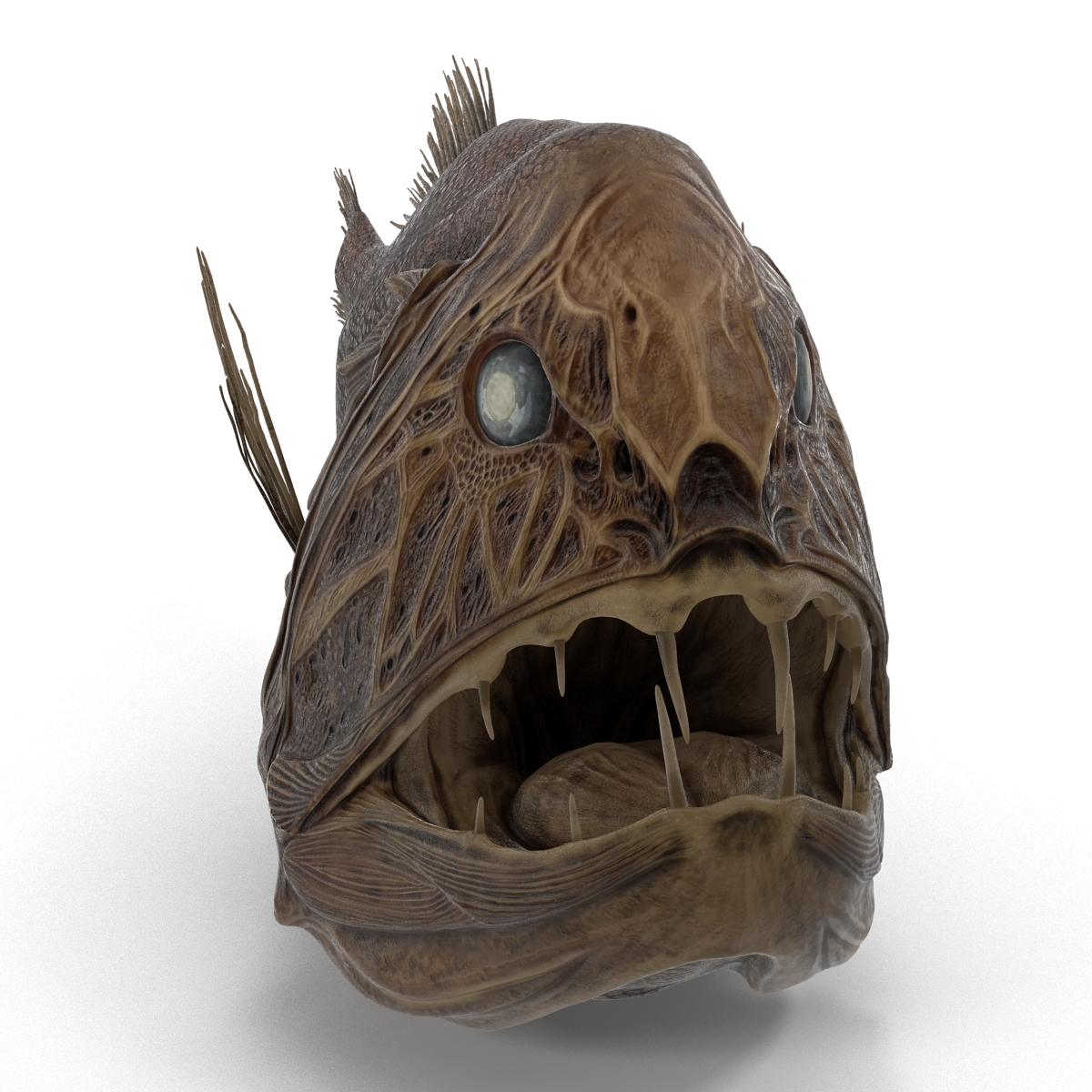 3D Fangtooth Fish 2