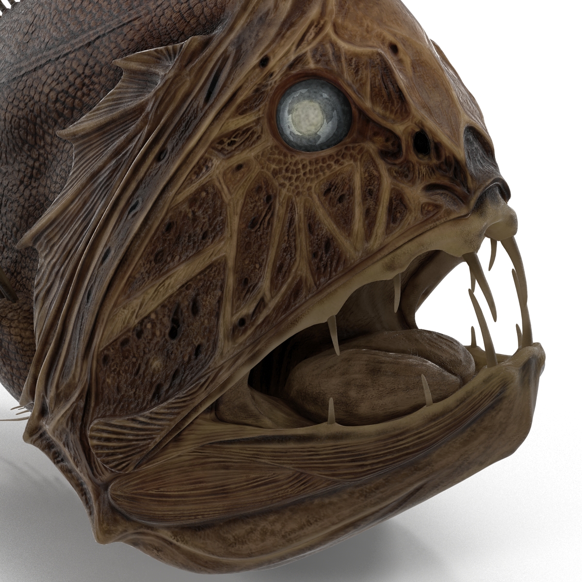 3D Fangtooth Fish 2