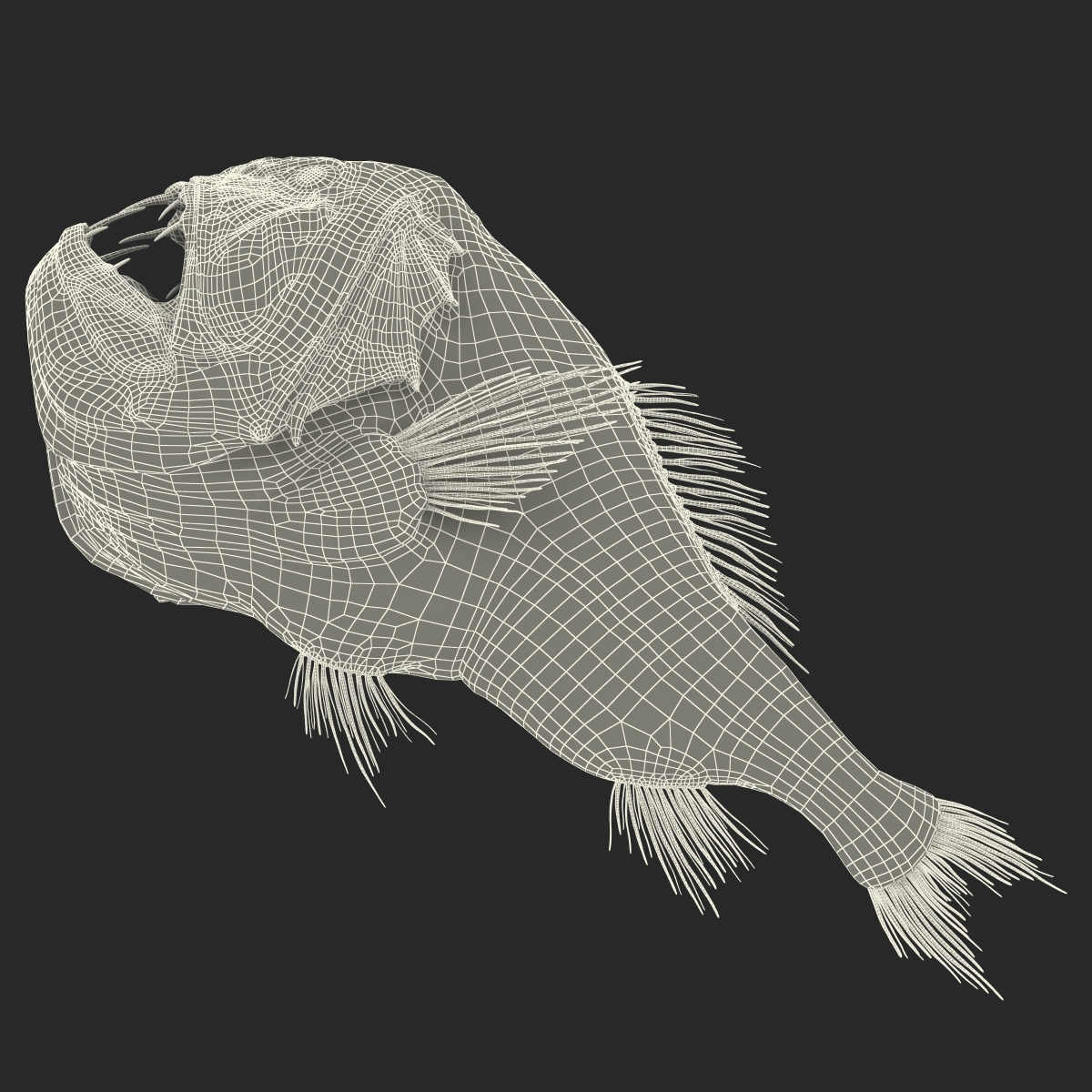 3D Fangtooth Fish 2