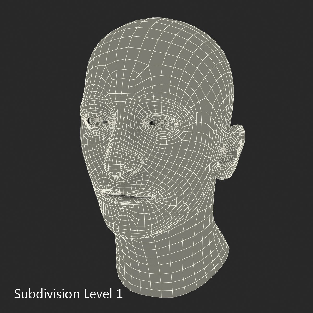 3D Mediterranean Male Head model