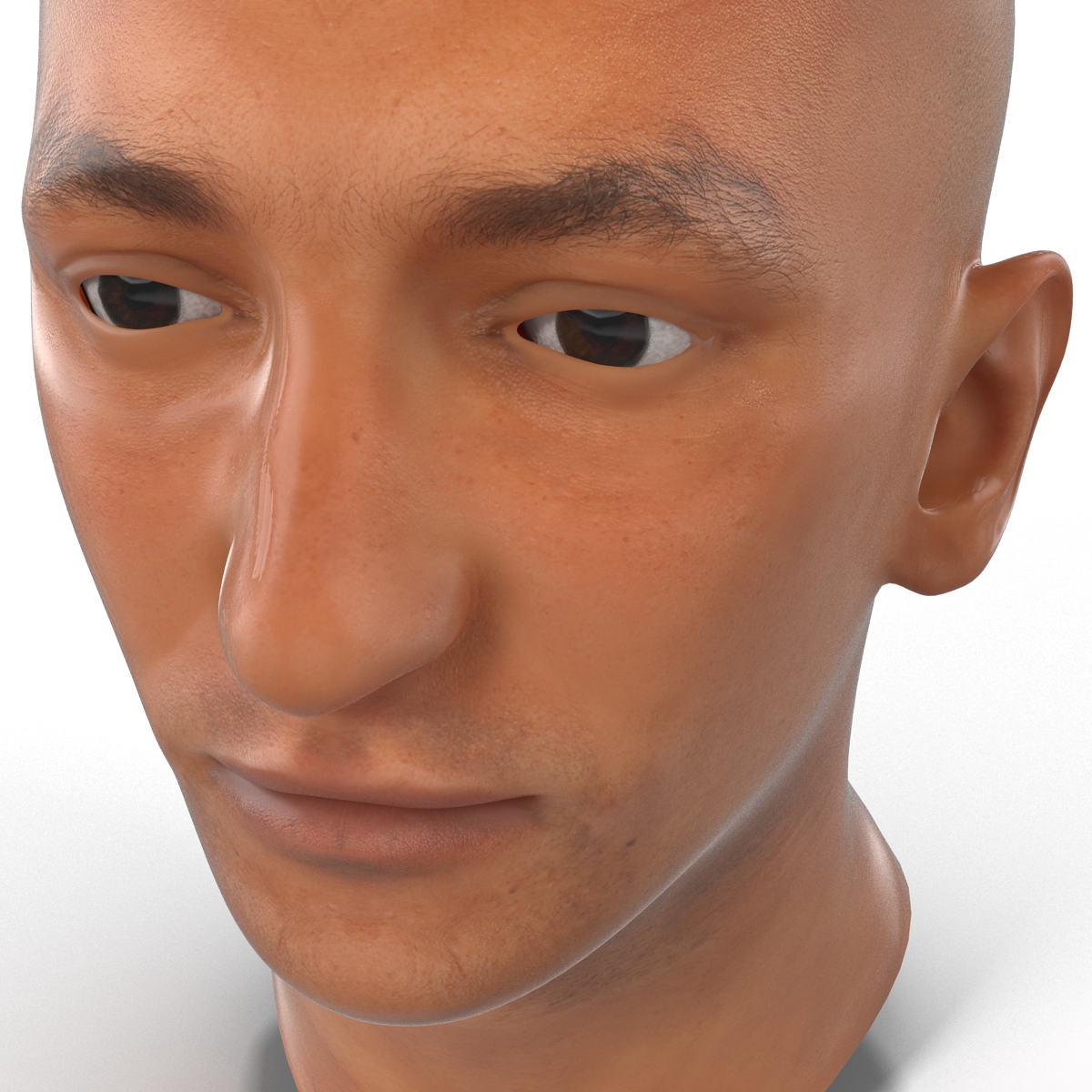 3D Mediterranean Male Head model