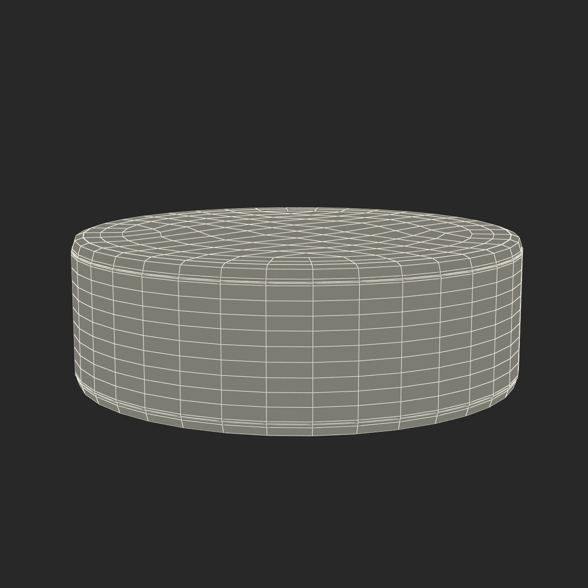 3D Hockey Puck