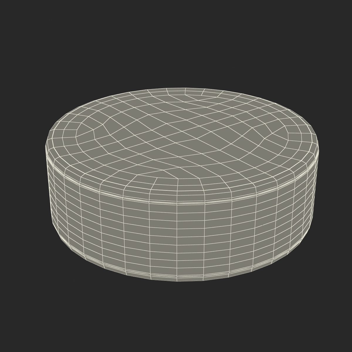 3D Hockey Puck