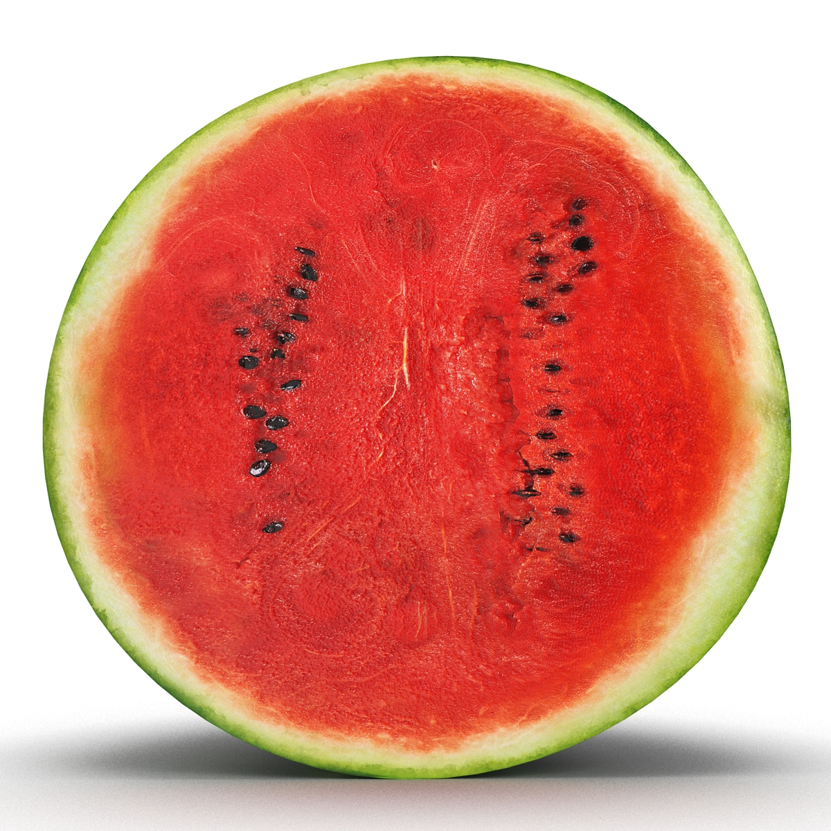 3D model Watermelon Cross Section 