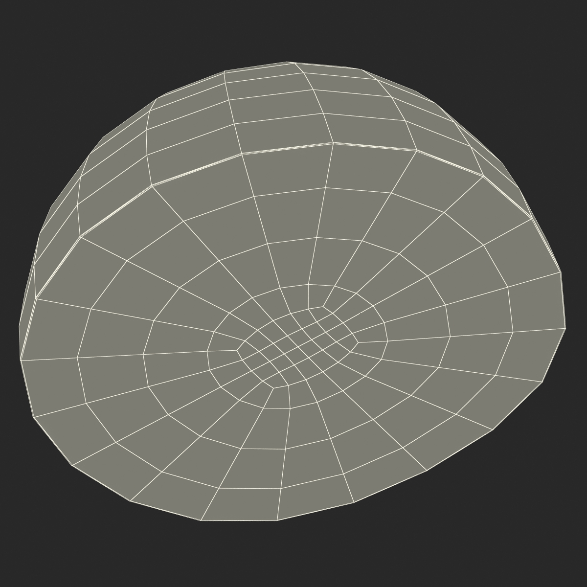 3D model Watermelon Cross Section 