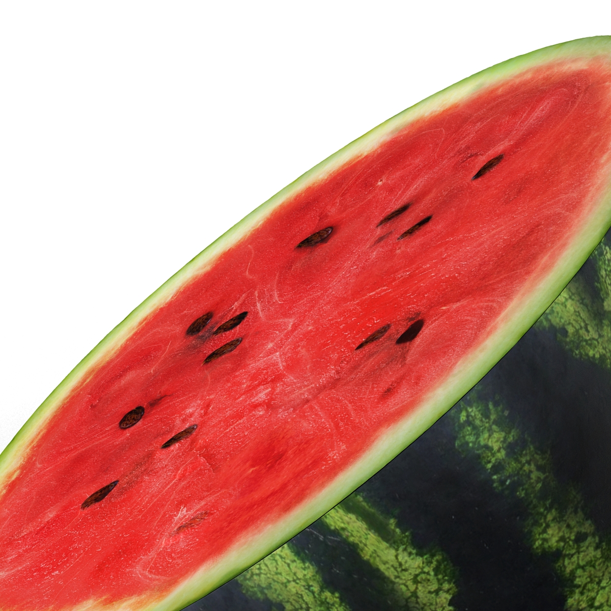 Watermelon Cross Section 2  3D