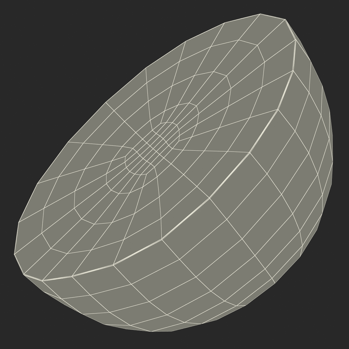 Watermelon Cross Section 2  3D