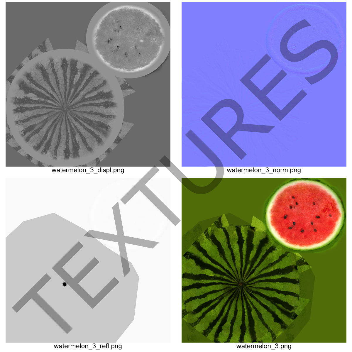 3D Watermelon Cross Section 3