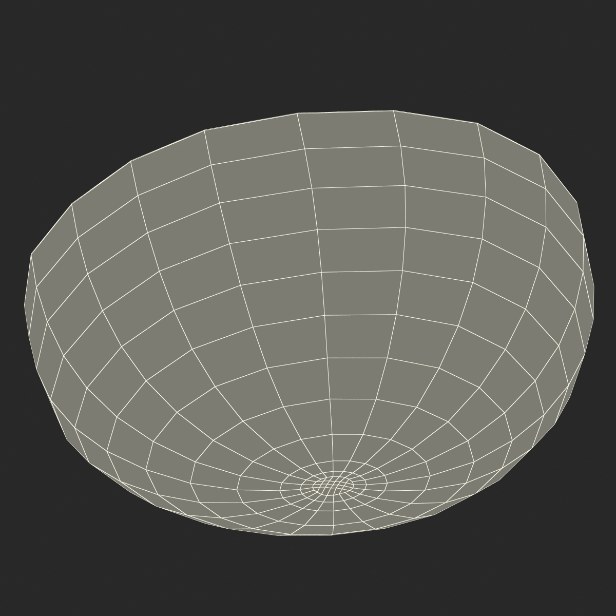 3D Watermelon Cross Section 3