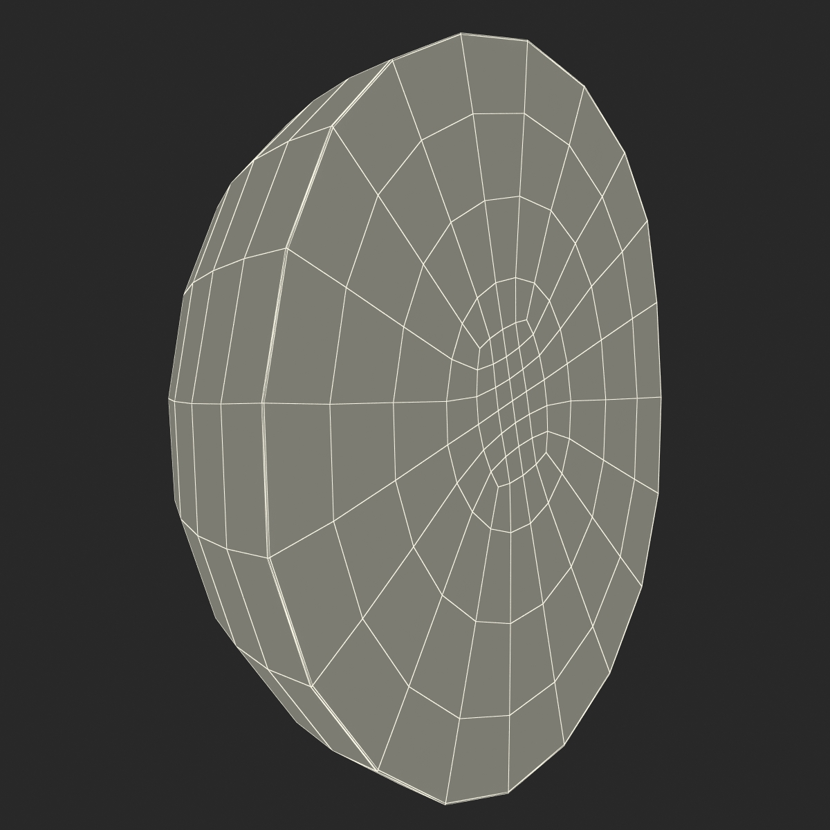 3D Watermelon Cross Section 3