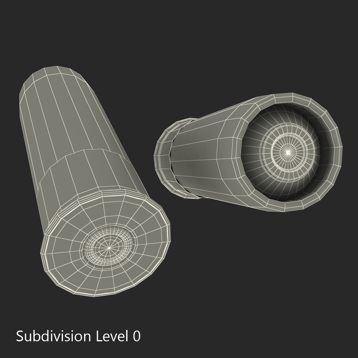 3D Shotgun Shell model