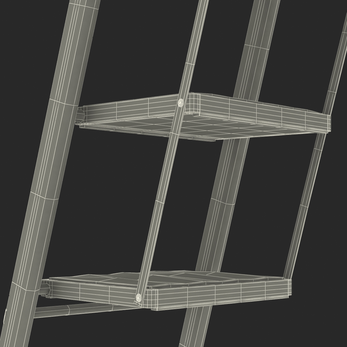 3D Step Ladder