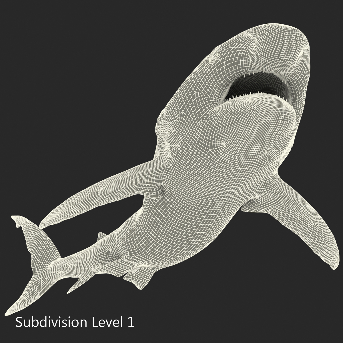 Caribbean Reef Shark Rigged 3D