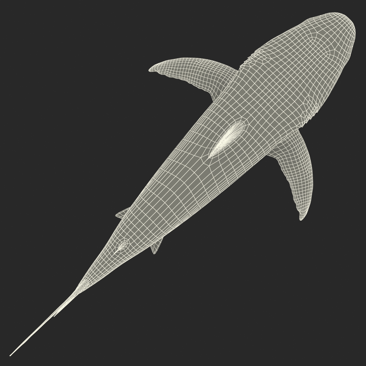 Caribbean Reef Shark Rigged 3D