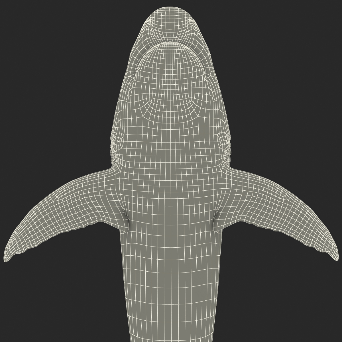 Caribbean Reef Shark Rigged 3D