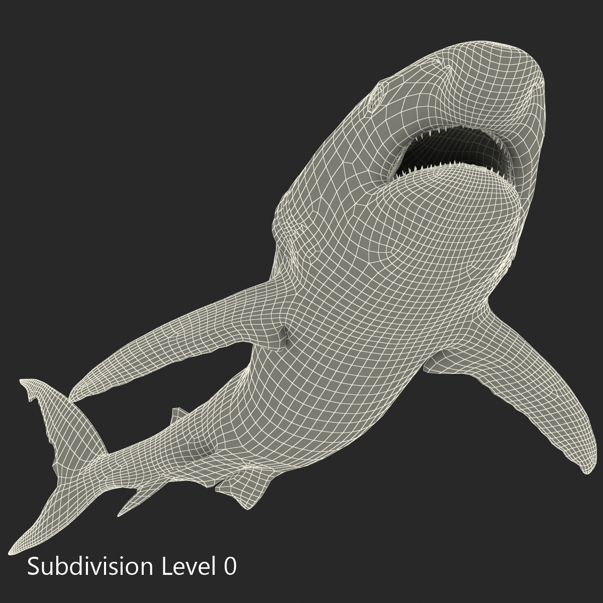 Great White Shark 2 3D model