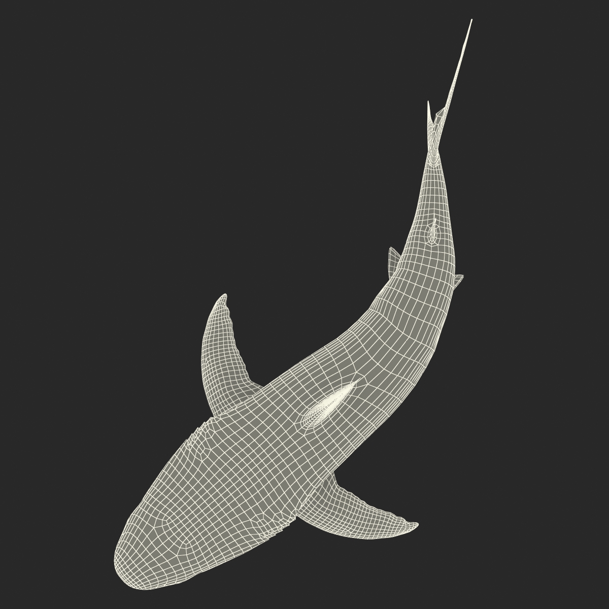 Great White Shark 2 3D model