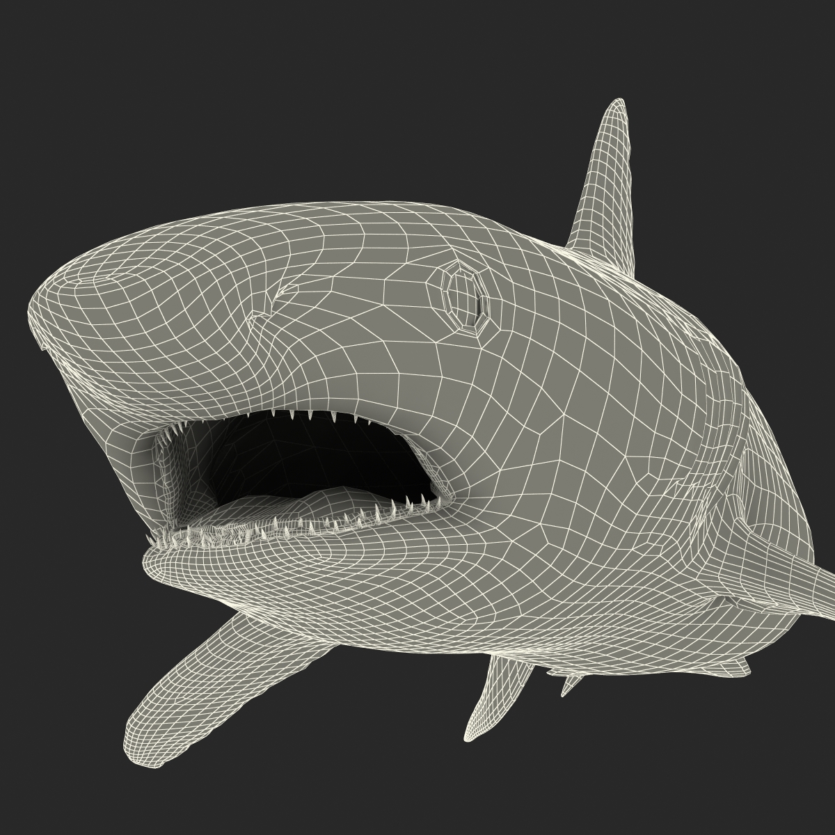 Great White Shark 2 3D model