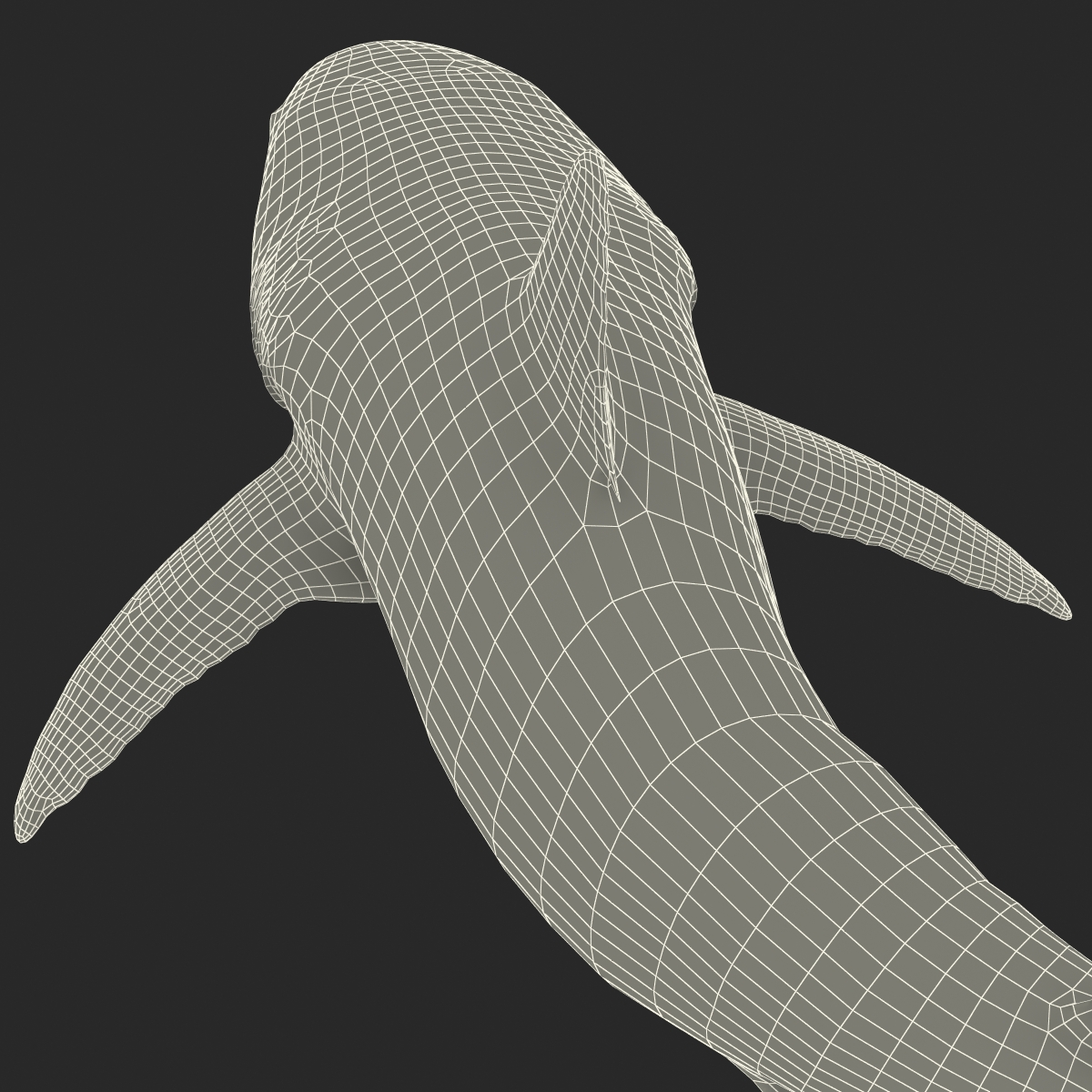 Great White Shark 2 3D model