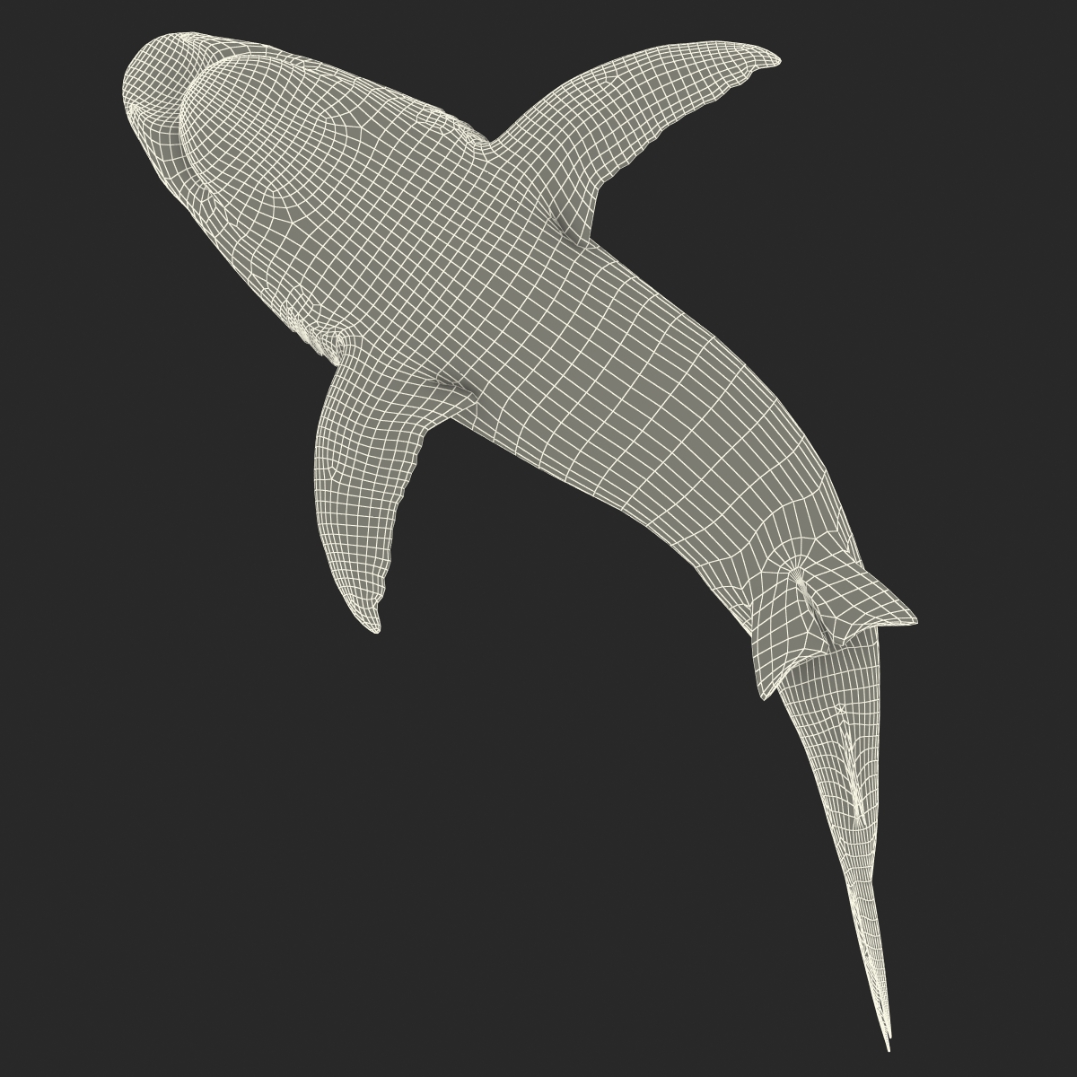 Great White Shark 2 3D model