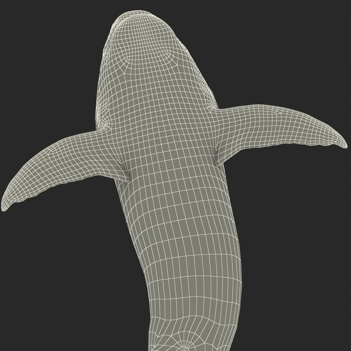 Great White Shark 2 3D model