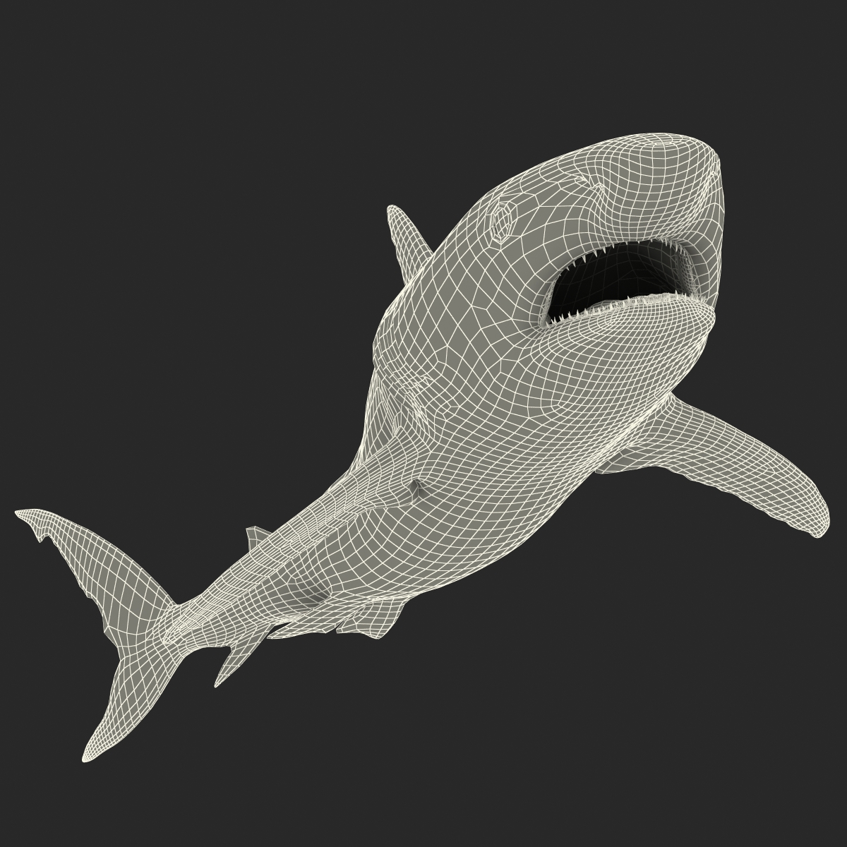 Great White Shark 2 3D model