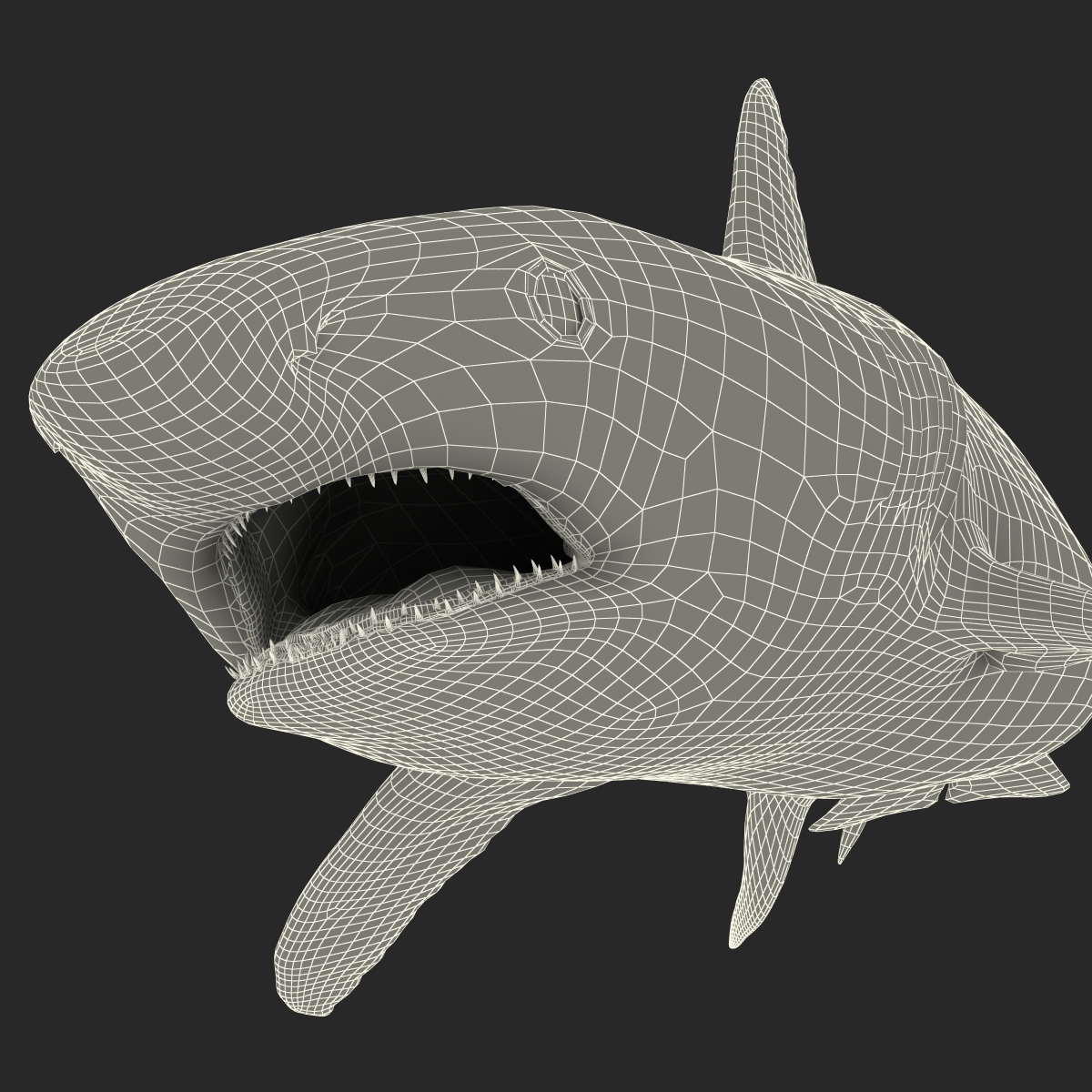 Great White Shark 2 3D model