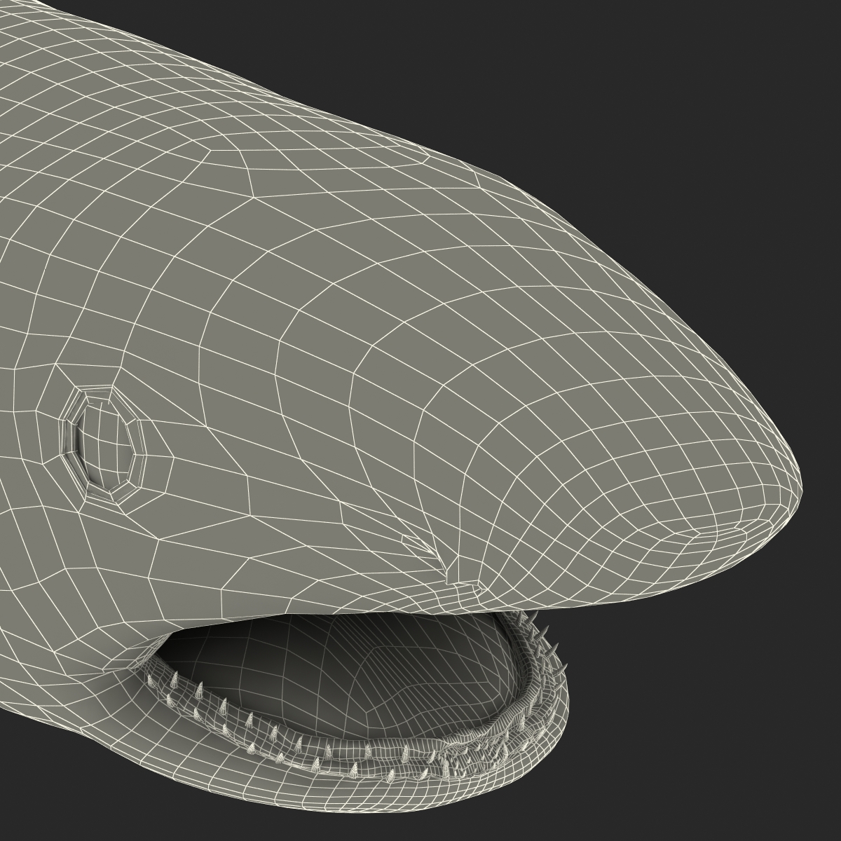 Great White Shark 2 3D model