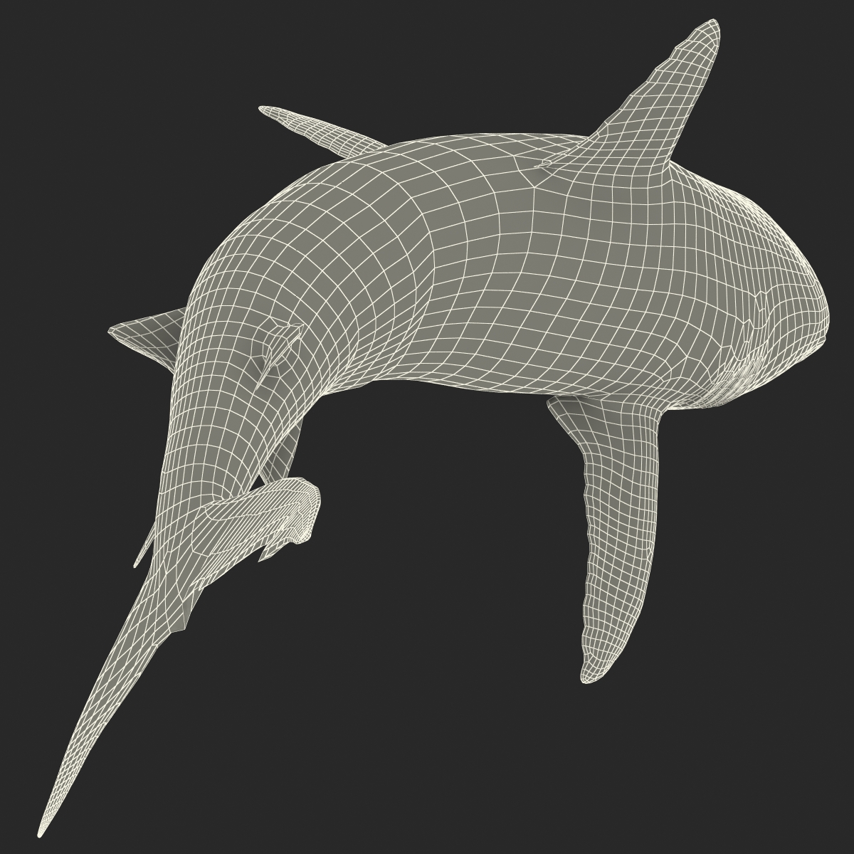 Great White Shark 2 3D model