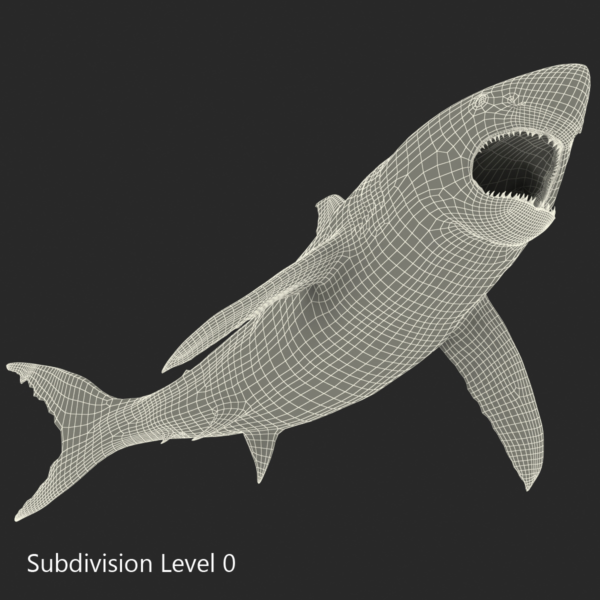 Great White Shark 2 3D model