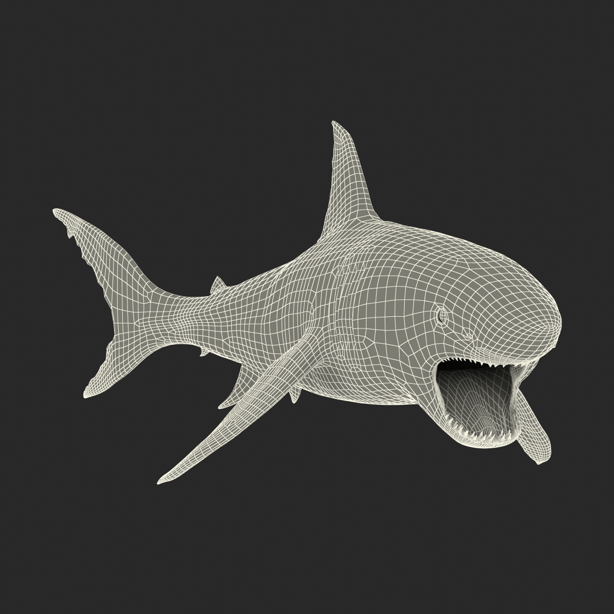 Great White Shark 2 3D model