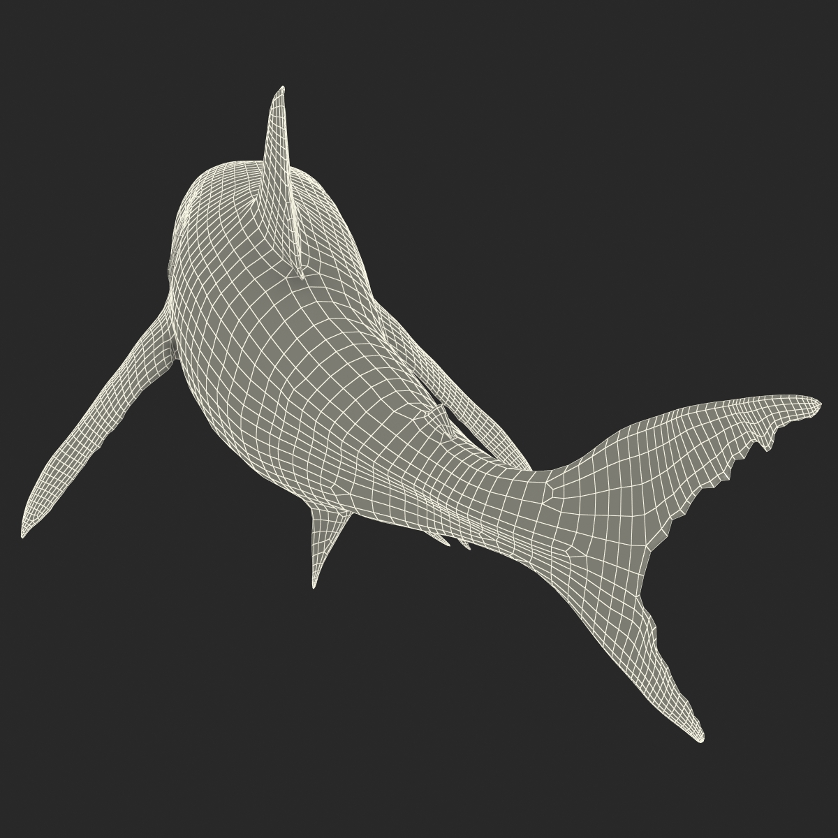 Great White Shark 2 3D model