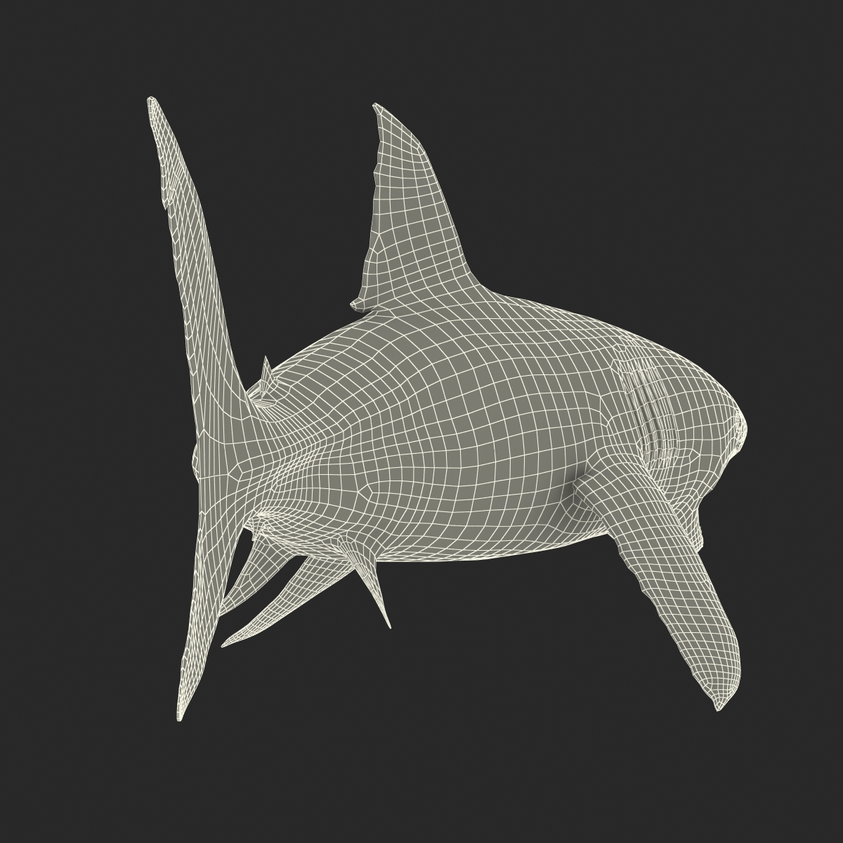 Great White Shark 2 3D model