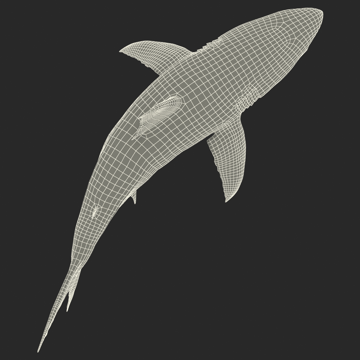 Great White Shark 2 3D model