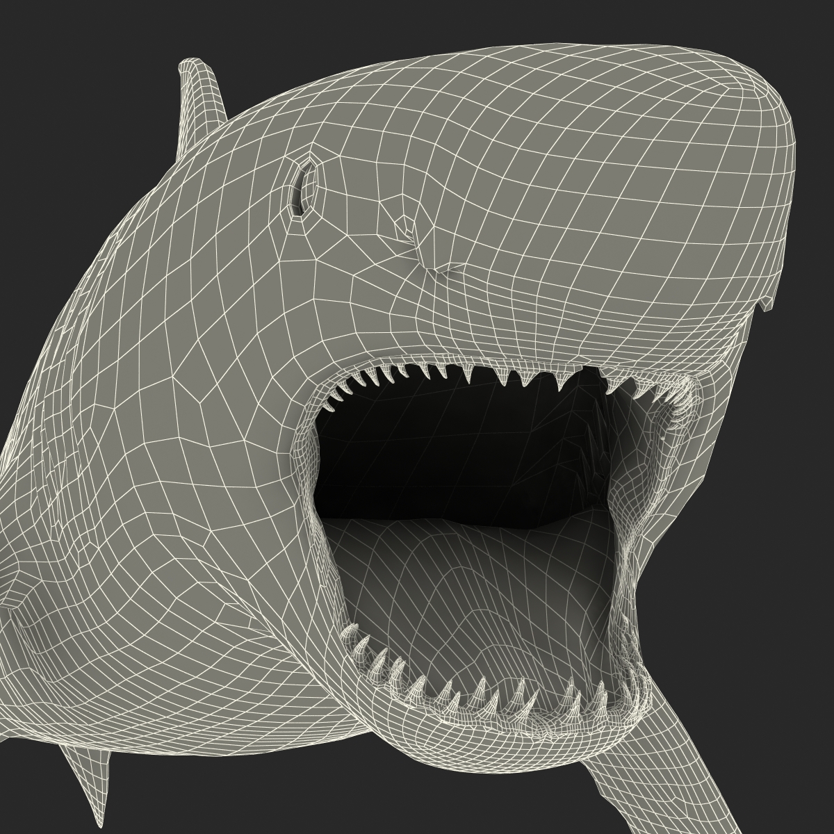 Great White Shark 2 3D model