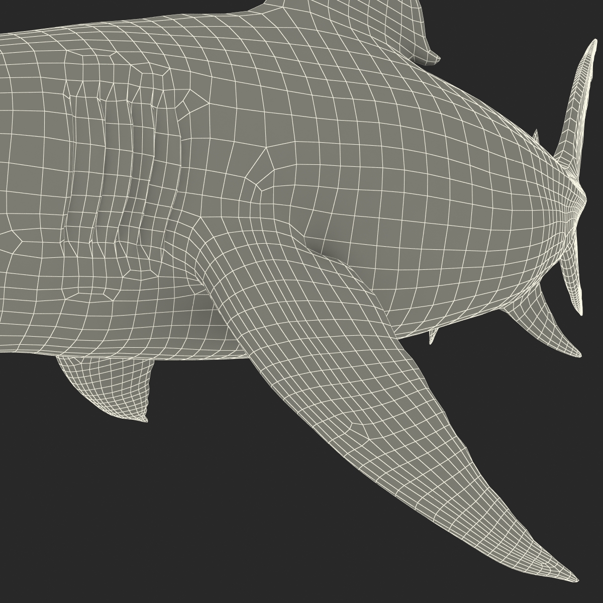 Great White Shark 2 3D model