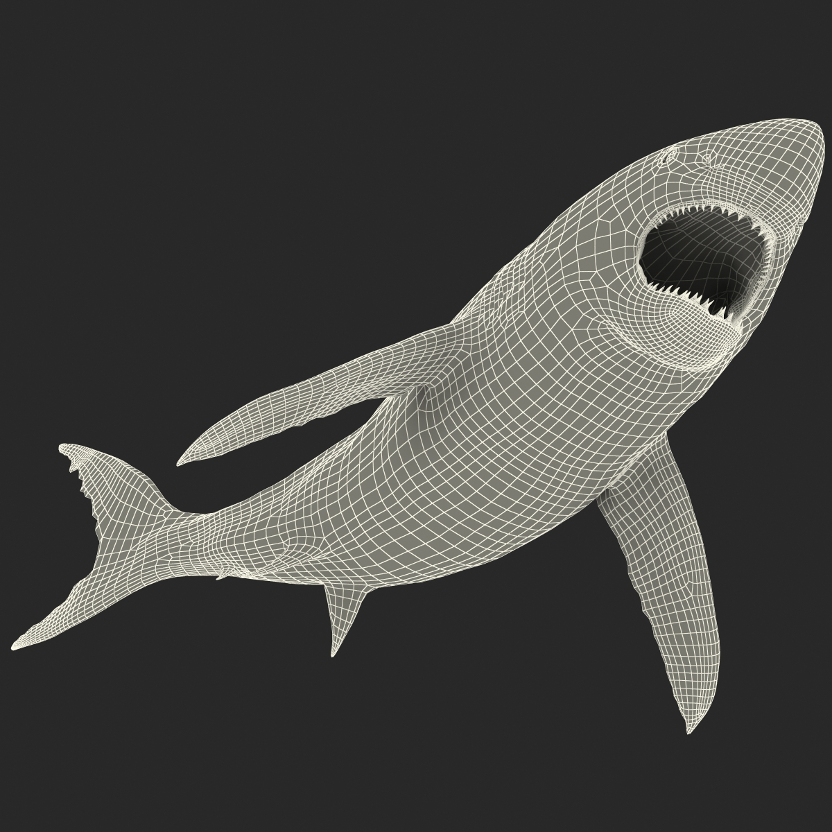 Great White Shark 2 3D model