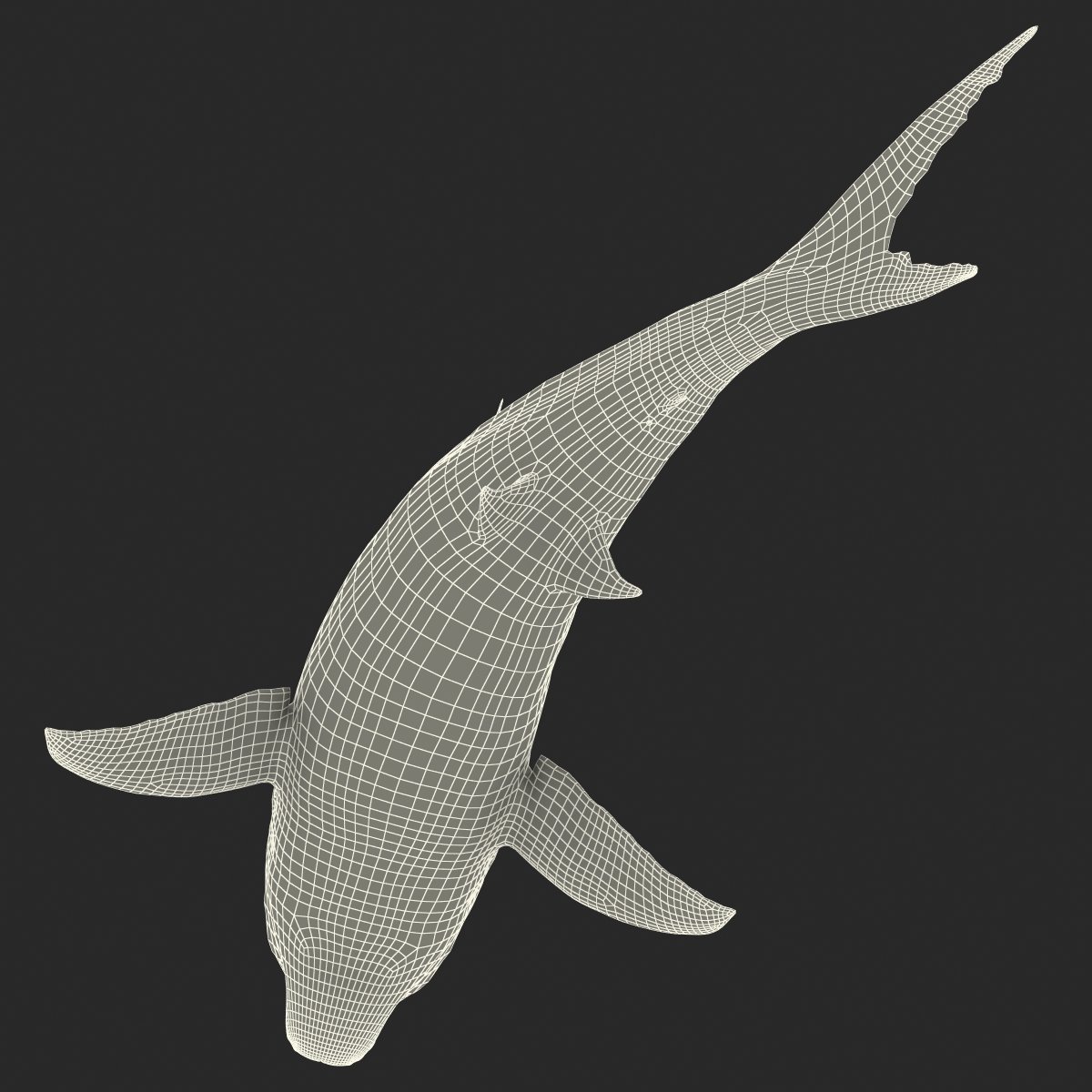 Great White Shark 2 3D model